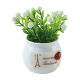 Mini Artificial Plant with Ceramic Pot White Flower Bonsai for Home Decor
