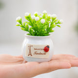 Mini Artificial Plant with Ceramic Pot White Flower Bonsai for Home Decor