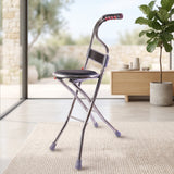 Folding Walking Stick with Seat and Backrest 4 Leg Cane Stool Chair