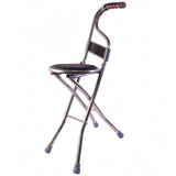 Folding Walking Stick with Seat and Backrest 4 Leg Cane Stool Chair