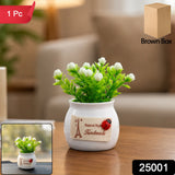 Mini Artificial Plant with Ceramic Pot White Flower Bonsai for Home Decor
